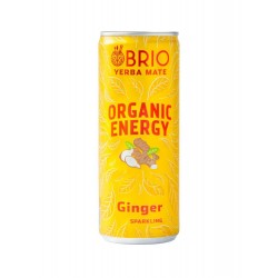 Brio Yerba Maté Energy Drink - Ginger 12 x 250ml